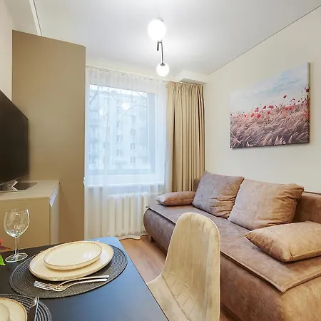 Stylish Gray Near The Center 3* Vilnius